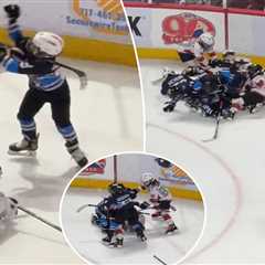 Youth hockey players get into wild brawl during game at AHL rink