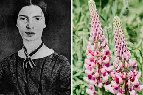 Design A Flower Bouquet To Find Out Which Emily Dickinson Poem You Are