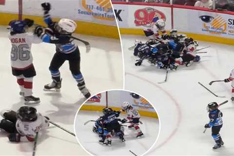 Youth hockey players get into wild brawl during game at AHL rink