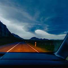 “Lupine” by Photographer Daniel Dorsa