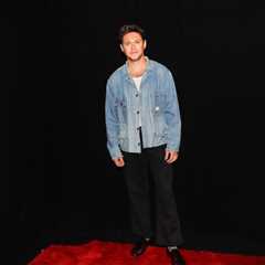Niall Horan Confirms Fourth Solo Album Is ‘Done,’ Shares Brief Song Snippet