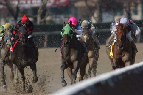Vic C’s Aqueduct picks and entries for Wednesday, Feb. 4