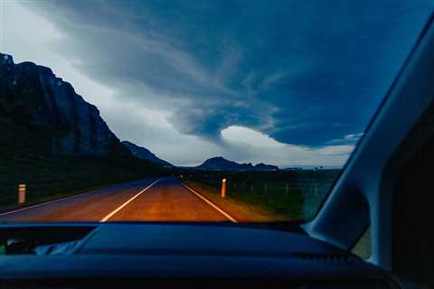 “Lupine” by Photographer Daniel Dorsa