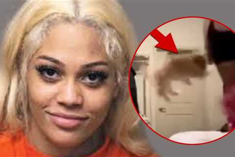 Streamer Aspen Kartier's Dog Getting Adoption Requests, Placed in Foster Home