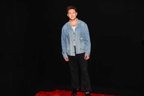 Niall Horan Confirms Fourth Solo Album Is ‘Done,’ Shares Brief Song Snippet