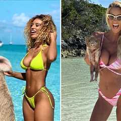 Celebs Pigging Out For National Pig Day