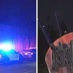 Disneyland 'Swatting' Hoax Draws Massive Police Response to Park