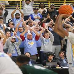 Meet the ‘Fins Up’ guys who put LIU hoops fans on the map — despite not even going to the school