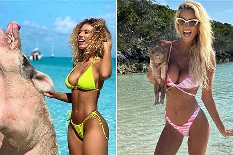 Celebs Pigging Out For National Pig Day