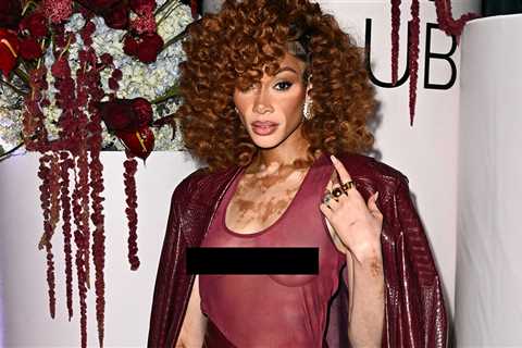 Winnie Harlow Shows Off Her Boobs in Sheer Outfit at Event