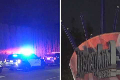 Disneyland 'Swatting' Hoax Draws Massive Police Response to Park