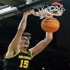 Heroes, zeros from Michigan’s Final Four win over Arizona: Aday Mara was an absolute force