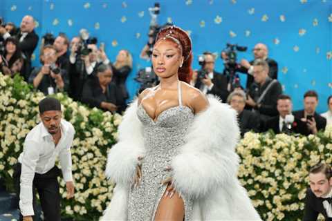 Megan Thee Stallion Denied Cyberstalking Ban Against Blogger After Defamation Trial Victory