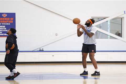 Knicks have to ride the highs and lows of the Mitchell Robinson roller coaster