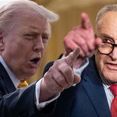 White House Cinco de Mayo Post Sparks Backlash, Chuck Schumer Fires Back