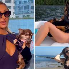 Hot Moms Who Let The Dogs Out ... Happy Dog Mom Day!
