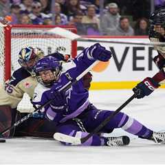 PWHL postpones playoff game over illness concerns — symptoms don’t indicate hantavirus