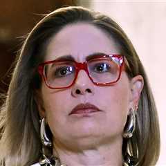 Kyrsten Sinema Fighting to See BF Matthew Ammel's Ex-Wife's Therapy Records