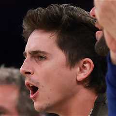 Timothée Chalamet Debuts New Haircut, Clean-Shaven Face at Knicks Game