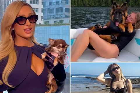Hot Moms Who Let The Dogs Out ... Happy Dog Mom Day!