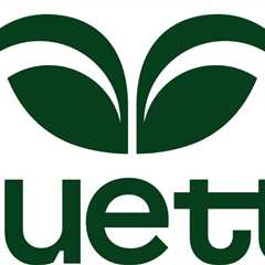 Duetti Launches French Division, Appoints Naïma Menxhiqi as Country Director
