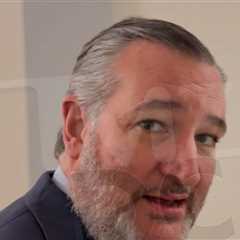 Ted Cruz Pushes Back On Rep. Andy Ogles Saying Homosexuality Has No Place in USA