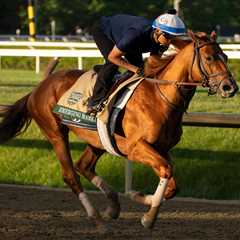 2026 Belmont Stakes prediection, preview, picks: Which horses to use in exactas, trifectas?