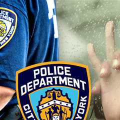 Ex-NYPD Detective Sentenced After Pleading Guilty To Having Sex With Woman He Arrested