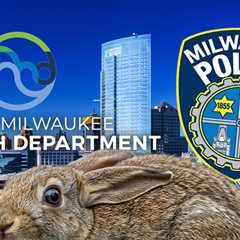 Viral Photo Appearing to Show Man Eating Rabbit Under Investigation in Milwaukee