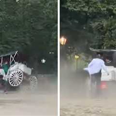 Teen Dies After Falling Out of Horse-Drawn Carriage in Central Park