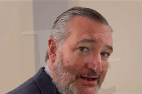 Ted Cruz Pushes Back On Rep. Andy Ogles Saying Homosexuality Has No Place in USA