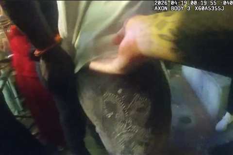 Bodycam footage from bizarre Zachariah Branch arrest emerges: ‘He smirked at me’