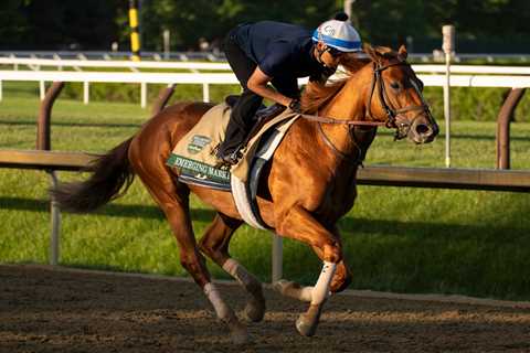 2026 Belmont Stakes prediection, preview, picks: Which horses to use in exactas, trifectas?