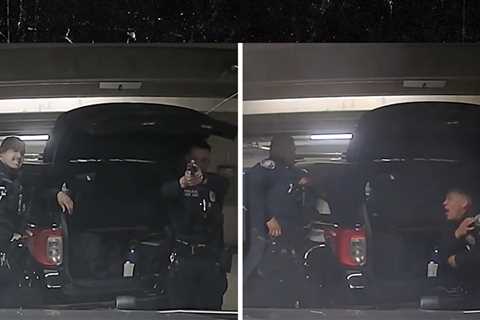 California Police Officer Accidentally Shoots Another Cop in 'Horseplay' Incident