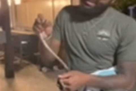 Knicks’ Mitchell Robinson catches snake in San Antonio in wild video — for the second time in..