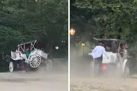 Teen Dies After Falling Out of Horse-Drawn Carriage in Central Park