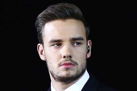 Liam Payne's Son Named Sole Beneficiary of $28 Million Estate