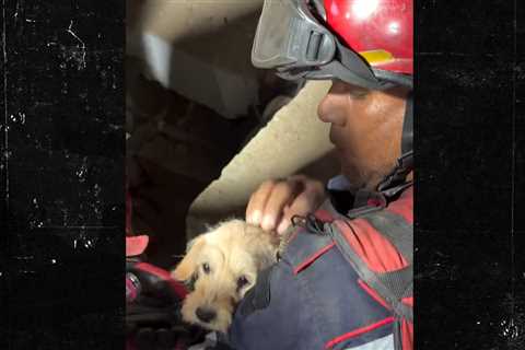 Video Shows Terrified Puppy Rescued From Collapsed Building After Venezuela Earthquakes