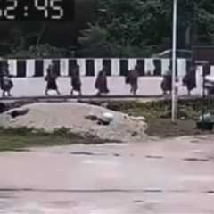 9 Buddhist Monks Killed When 11-Year-Old Allegedly Runs Them Over With Truck