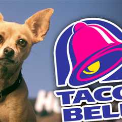 Taco Bell Chihuahua Voice Actor Still Eats There, But Warns 'Proceed With Caution'
