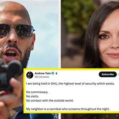 Christina Ricci Had The Perfect Four-Word Response To Andrew Tate Complaining About Jail
