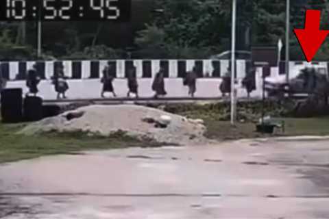 9 Buddhist Monks Killed When 11-Year-Old Allegedly Runs Them Over With Truck