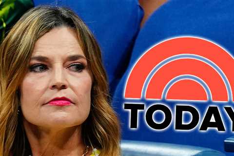 Savannah Guthrie's 'Today' Absences Aren't Related To Nancy's Abduction