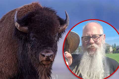 Yellowstone Bison Involved in Viral Tourist Attack Won't be Euthanized