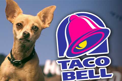 Taco Bell Chihuahua Voice Actor Still Eats There, But Warns 'Proceed With Caution'