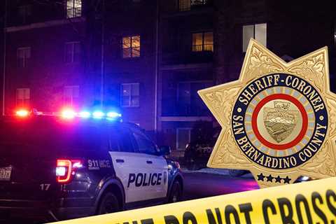 2-Year-Old Boy Fatally Shoots Himself After Finding Gun In Sofa, Mom Arrested