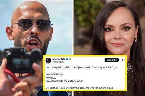 Christina Ricci Had The Perfect Four-Word Response To Andrew Tate Complaining About Jail