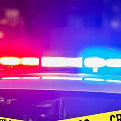 Idaho In-N-Out Burger Mass Shooting Leaves 3 Dead, 7 Injured