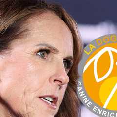 Dog Daycare Owner Claps Back at Molly Shannon's Claims He Called Her 'Ugly'