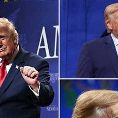 Donald Trump's Fuller Hair at Las Vegas Speech Sparks Wig Rumors